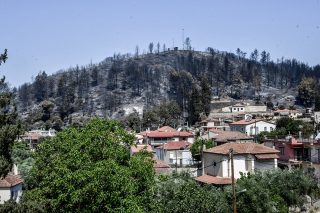 fotia ilia
